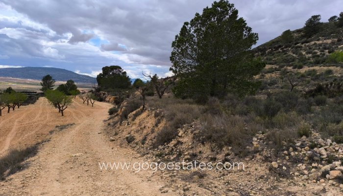 Revente - Terrain - Terrain - Pinoso - Pinoso Centro