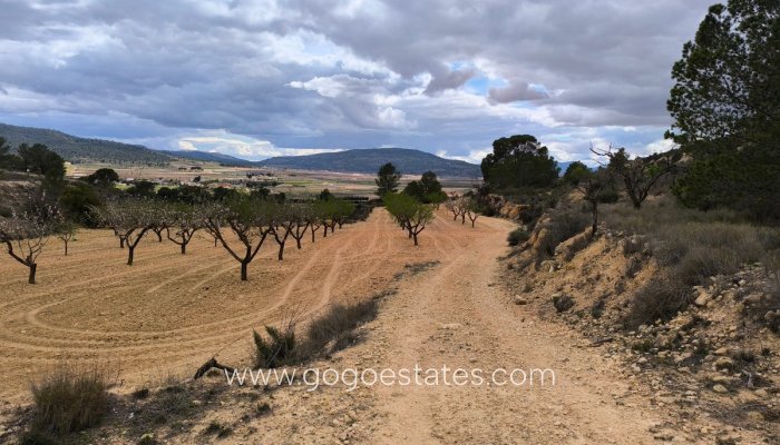 Revente - Terrain - Terrain - Pinoso - Pinoso Centro