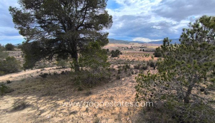 Revente - Terrain - Terrain - Pinoso - Pinoso Centro