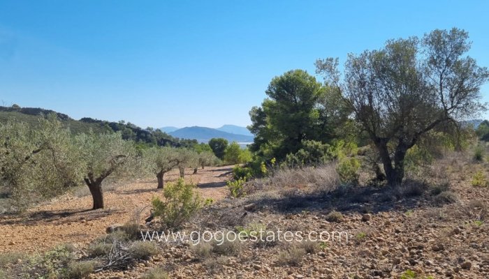 Te koop - Perceel - Land - Monóvar - Monòver - Casas del Señor