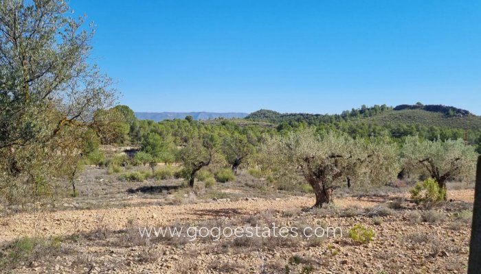 Te koop - Perceel - Land - Monóvar - Monòver - Casas del Señor