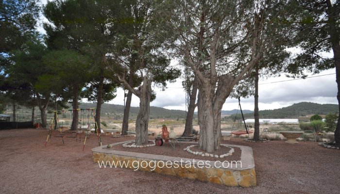 Te koop - Huis - Grotwoning - Pinoso - Pinoso Centro