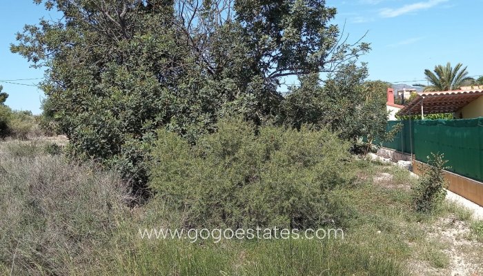 Revente - Terrain - Terrain - Novelda - Novelda Centro