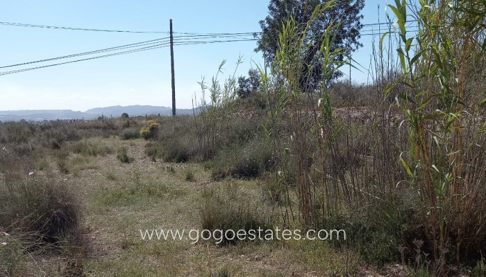 Revente - Terrain - Terrain - Novelda - Novelda Centro