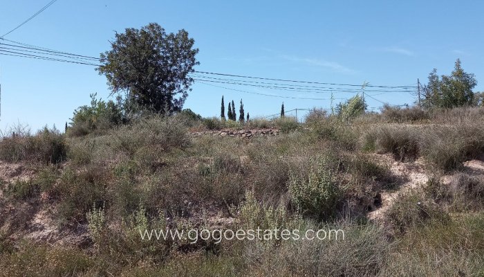 Revente - Terrain - Terrain - Novelda - Novelda Centro