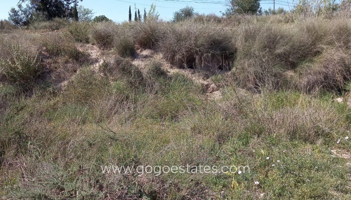 Revente - Terrain - Terrain - Novelda - Novelda Centro