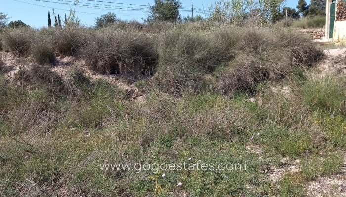 Revente - Terrain - Terrain - Novelda - Novelda Centro