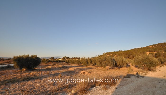 Te koop - Perceel - Land - Pinoso - Pinoso Centro