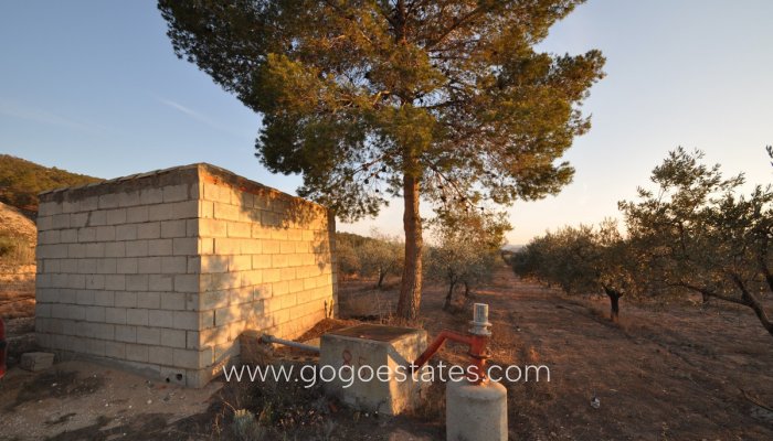 Te koop - Perceel - Land - Pinoso - Pinoso Centro