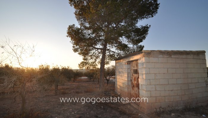 Te koop - Perceel - Land - Pinoso - Pinoso Centro