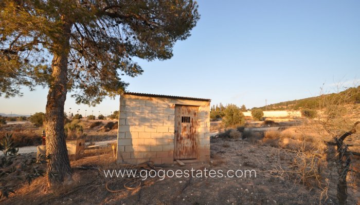 Te koop - Perceel - Land - Pinoso - Pinoso Centro