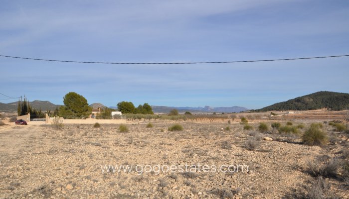 Te koop - Perceel - Land - Pinoso - Pinoso Centro