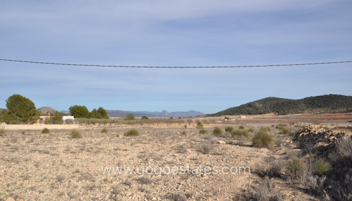 Te koop - Perceel - Land - Pinoso - Pinoso Centro