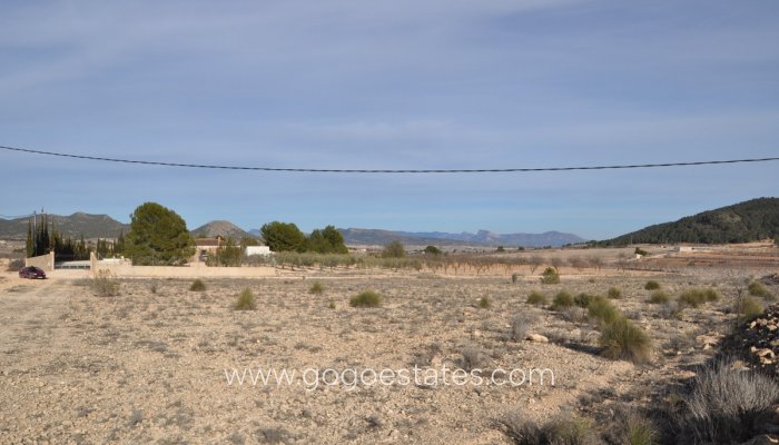 Te koop - Perceel - Land - Pinoso - Pinoso Centro