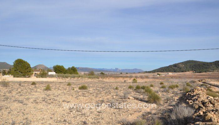 Te koop - Perceel - Land - Pinoso - Pinoso Centro