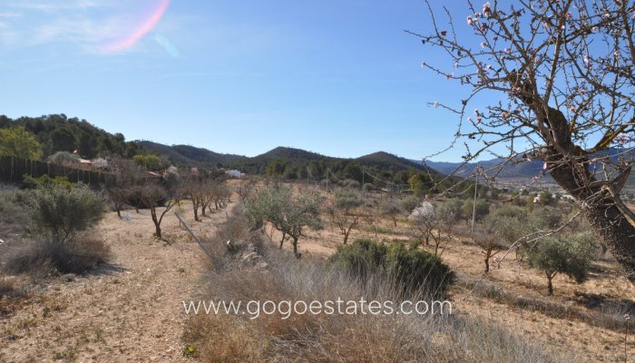 Te koop - Huis - Finca - Cortijo - Monóvar - Monòver - Monóvar - Monòver Centro