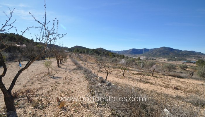 Te koop - Huis - Finca - Cortijo - Monóvar - Monòver - Monóvar - Monòver Centro