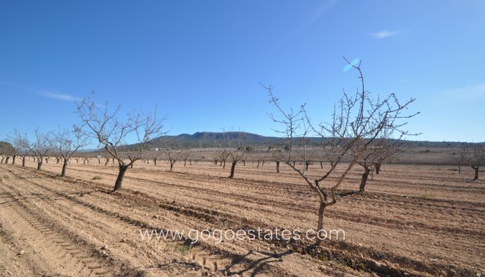 Te koop - Perceel - Land - Monóvar - Monòver - Monóvar - Monòver Centro