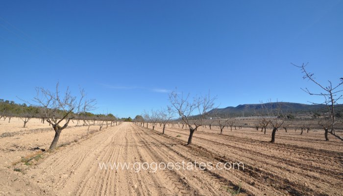 Te koop - Perceel - Land - Monóvar - Monòver - Monóvar - Monòver Centro