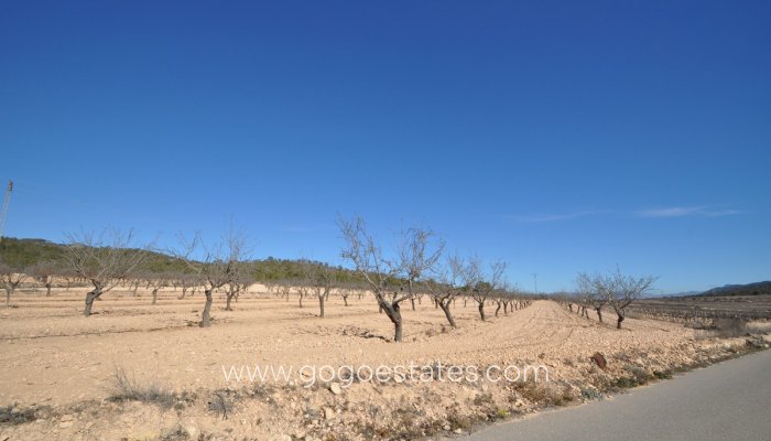 Te koop - Perceel - Land - Monóvar - Monòver - Monóvar - Monòver Centro