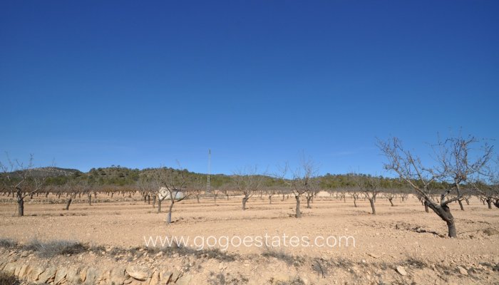 Te koop - Perceel - Land - Monóvar - Monòver - Monóvar - Monòver Centro