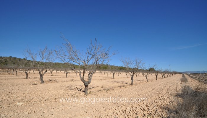 Te koop - Perceel - Land - Monóvar - Monòver - Monóvar - Monòver Centro