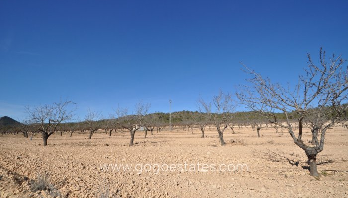 Te koop - Perceel - Land - Monóvar - Monòver - Monóvar - Monòver Centro