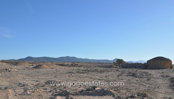 Te koop - Perceel - Land - Pinoso - Pinoso Centro