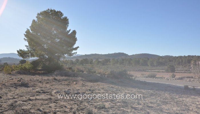 Te koop - Perceel - Land - Pinoso - Pinoso Centro