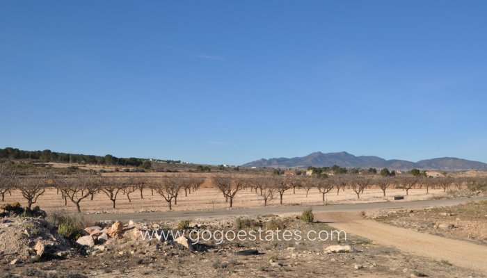 Te koop - Perceel - Land - Pinoso - Pinoso Centro