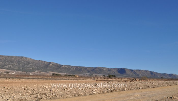 Te koop - Perceel - Land - Pinoso - Pinoso Centro