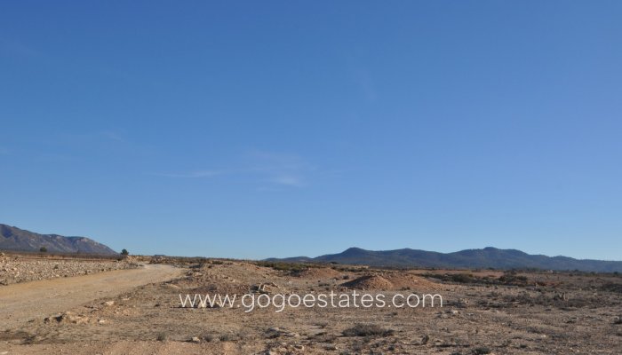 Te koop - Perceel - Land - Pinoso - Pinoso Centro