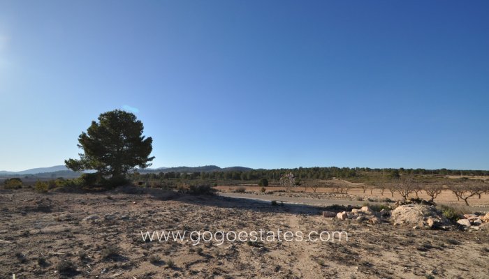 Te koop - Perceel - Land - Pinoso - Pinoso Centro