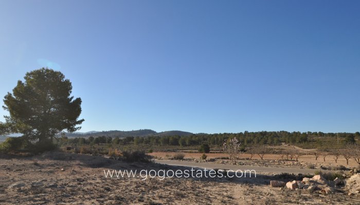 Te koop - Perceel - Land - Pinoso - Pinoso Centro