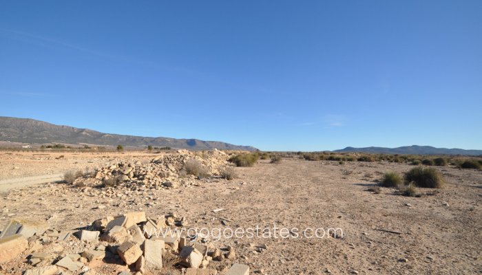 Te koop - Perceel - Land - Pinoso - Pinoso Centro