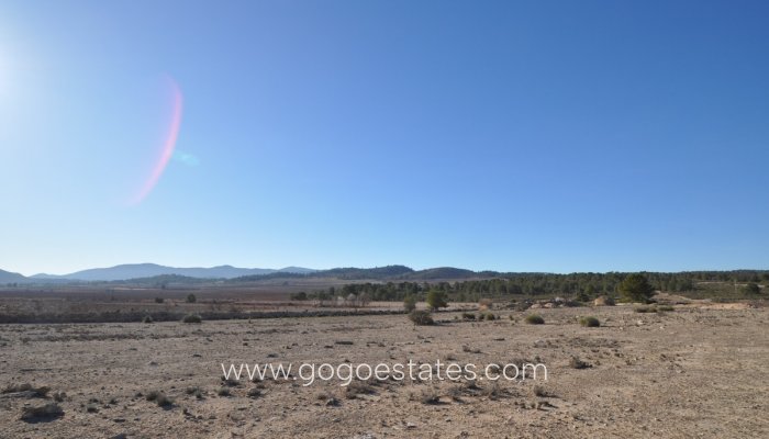 Te koop - Perceel - Land - Pinoso - Pinoso Centro