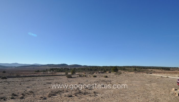 Te koop - Perceel - Land - Pinoso - Pinoso Centro