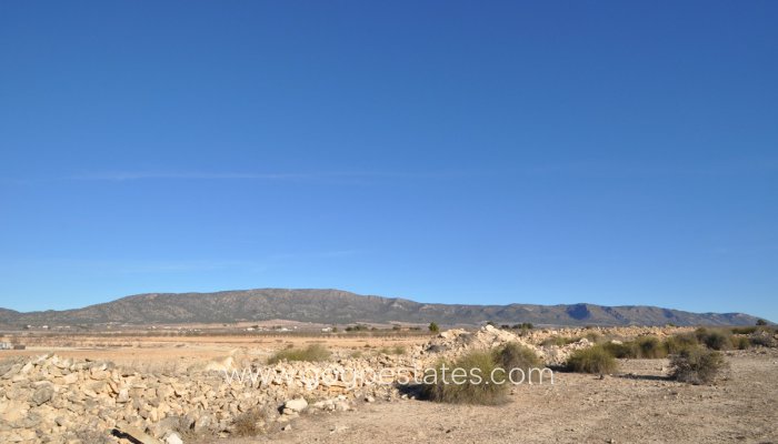 Te koop - Perceel - Land - Pinoso - Pinoso Centro