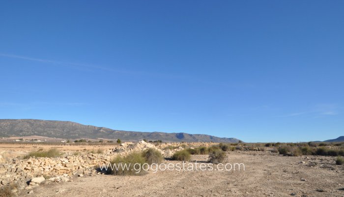 Te koop - Perceel - Land - Pinoso - Pinoso Centro