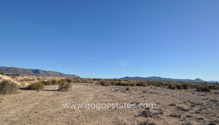 Te koop - Perceel - Land - Pinoso - Pinoso Centro