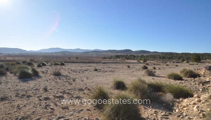 Te koop - Perceel - Land - Pinoso - Pinoso Centro