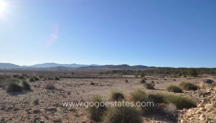 Te koop - Perceel - Land - Pinoso - Pinoso Centro