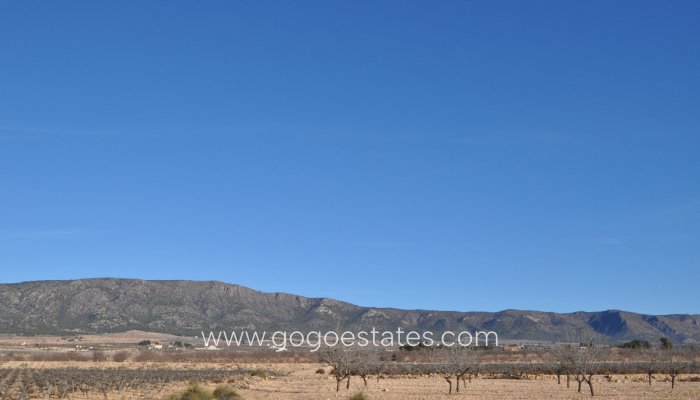 Wiederverkauf - Grundstück - Pinoso - Pinoso Centro