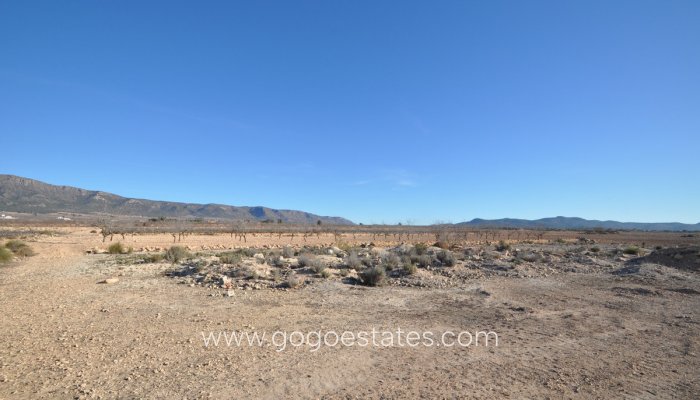 Wiederverkauf - Grundstück - Pinoso - Pinoso Centro