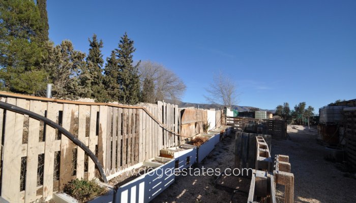 Te koop - Perceel - Land - Pinoso - Pinoso Centro