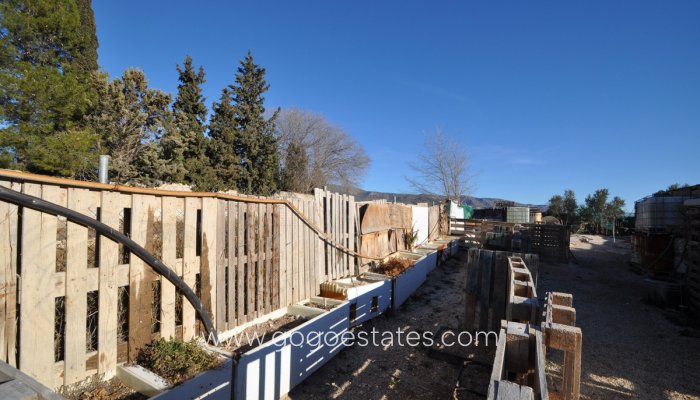 Te koop - Perceel - Land - Pinoso - Pinoso Centro