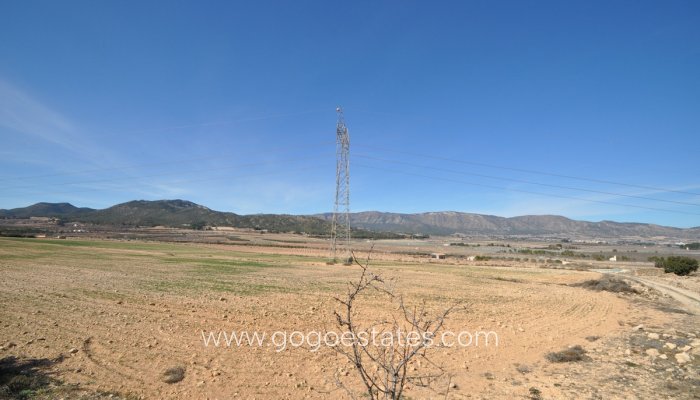 Te koop - Perceel - Land - Salinas - Salinas Centro