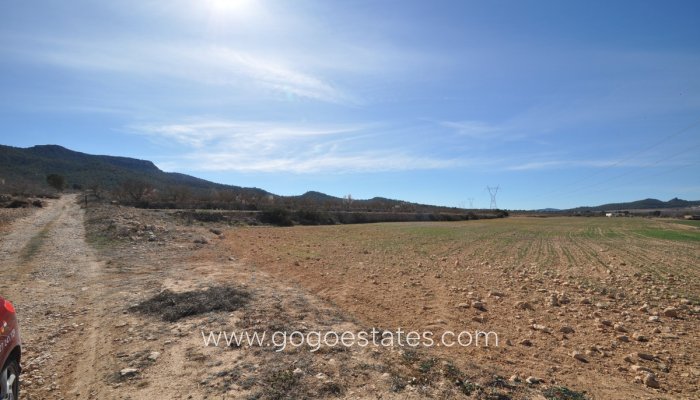 Te koop - Perceel - Land - Salinas - Salinas Centro