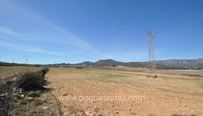 Te koop - Perceel - Land - Salinas - Salinas Centro