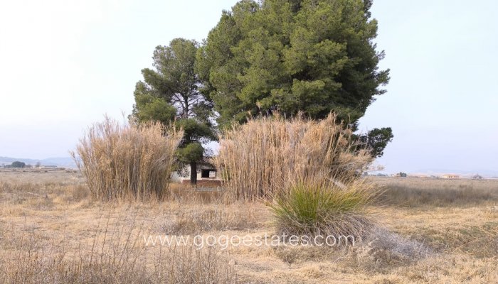 Te koop - Perceel - Land met ruïne - Villena - Villena Centro
